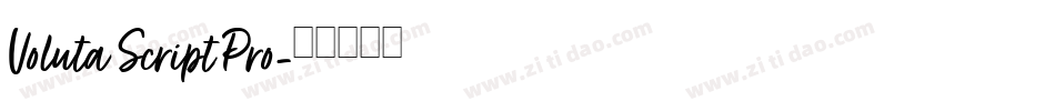 Voluta Script Pro字体转换